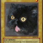 020_barf_cat