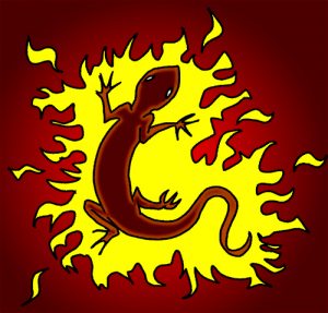 salamanderC