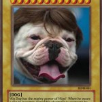 001_wigdog